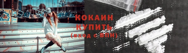 ПСИЛОЦИБИНОВЫЕ ГРИБЫ Абаза
