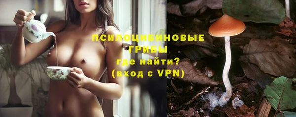 спиды Алзамай
