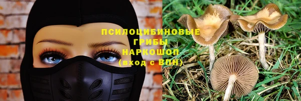 ALPHA PVP Алексин