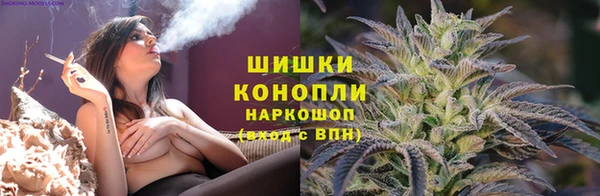 спиды Алзамай